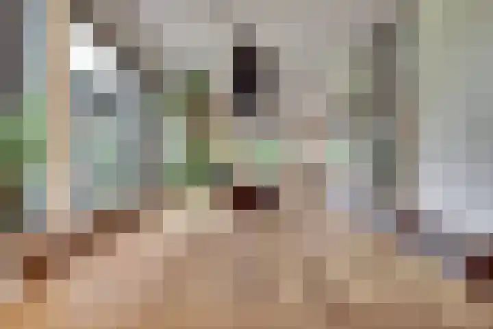Kokkerije 6 de Wijk thumbnail 15