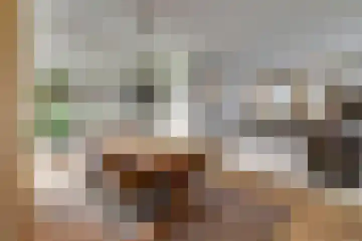 Kokkerije 6 de Wijk thumbnail 16