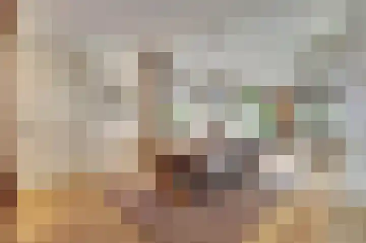 Kokkerije 6 de Wijk thumbnail 17