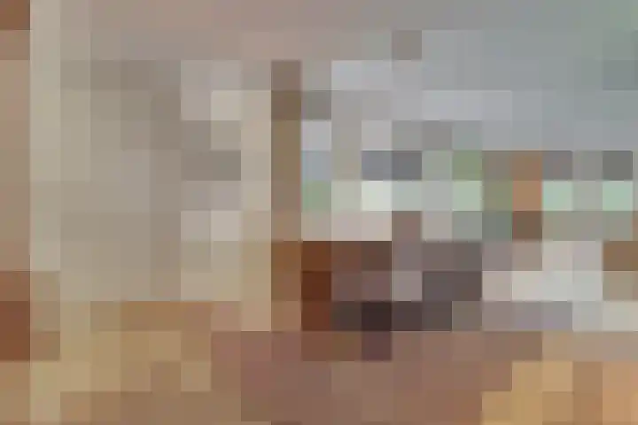 Kokkerije 6 de Wijk thumbnail 18