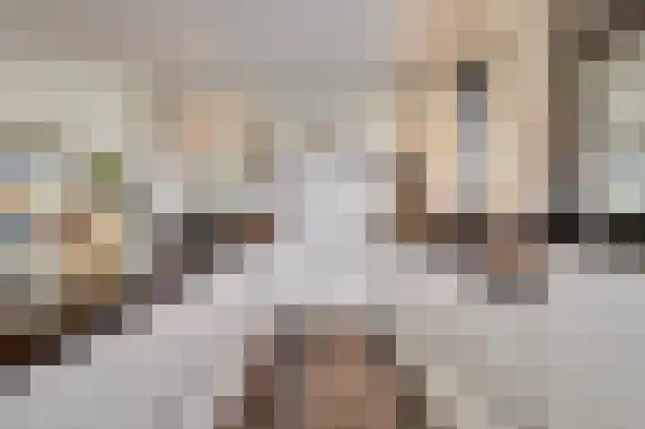 Kokkerije 6 de Wijk thumbnail 19