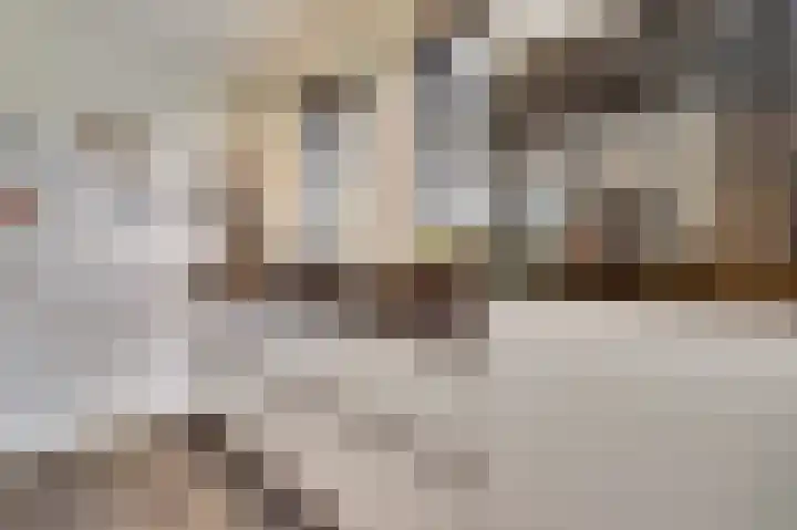 Kokkerije 6 de Wijk thumbnail 20