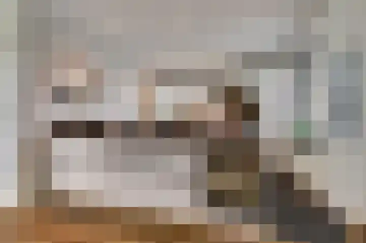 Kokkerije 6 de Wijk thumbnail 21