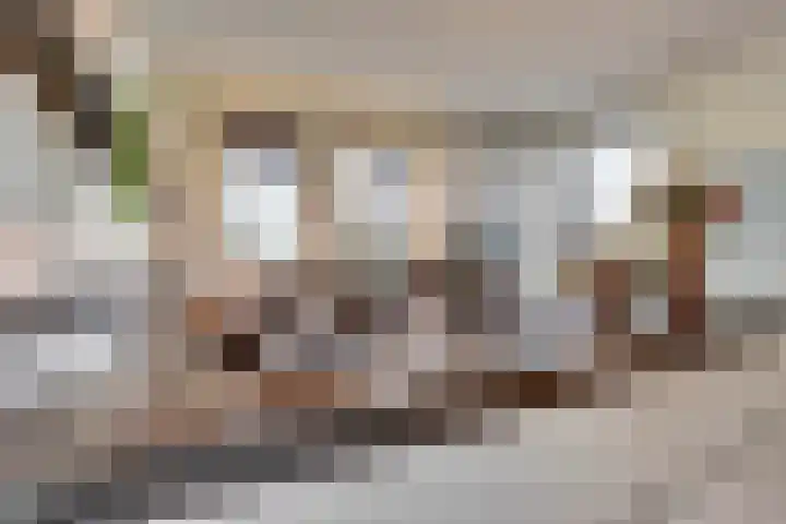 Kokkerije 6 de Wijk thumbnail 22