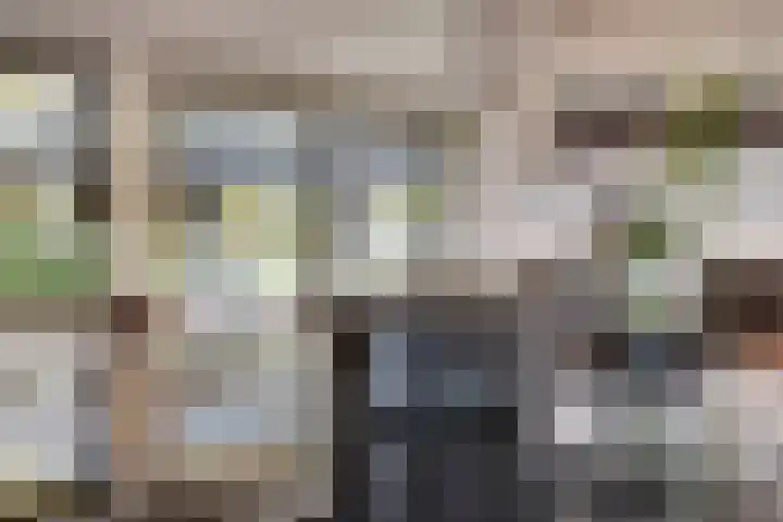 Kokkerije 6 de Wijk thumbnail 23