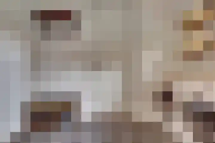 Kokkerije 6 de Wijk thumbnail 25