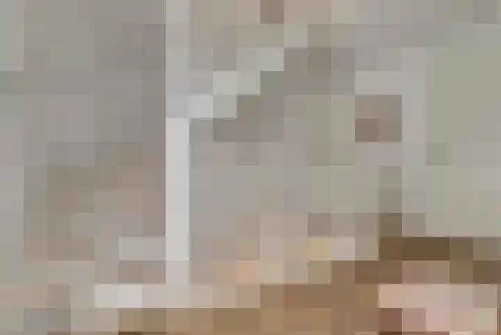 Kokkerije 6 de Wijk thumbnail 26