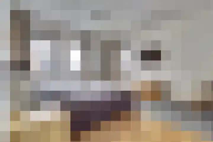 Kokkerije 6 de Wijk thumbnail 28