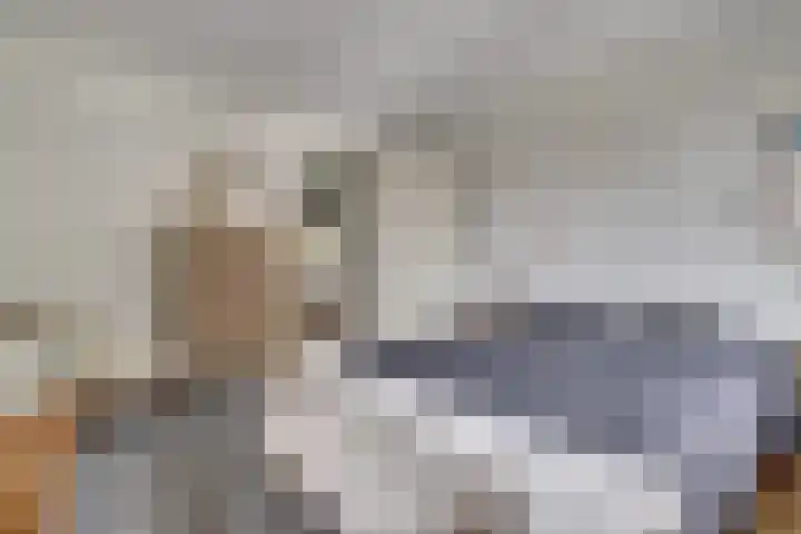 Kokkerije 6 de Wijk thumbnail 29