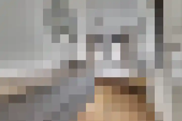 Kokkerije 6 de Wijk thumbnail 31
