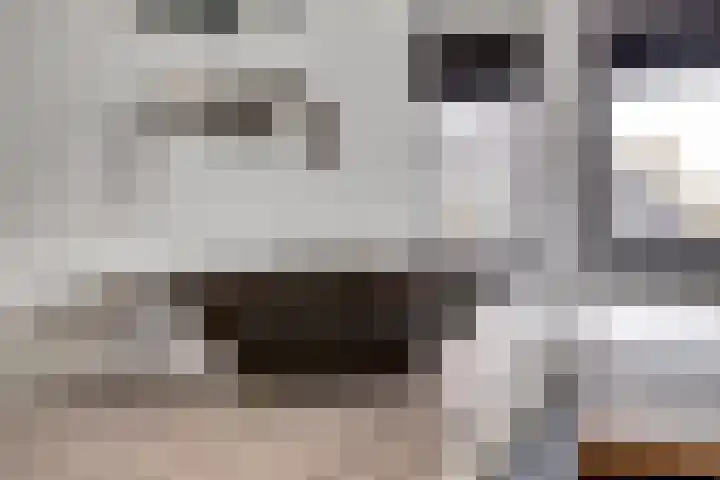 Kokkerije 6 de Wijk thumbnail 32