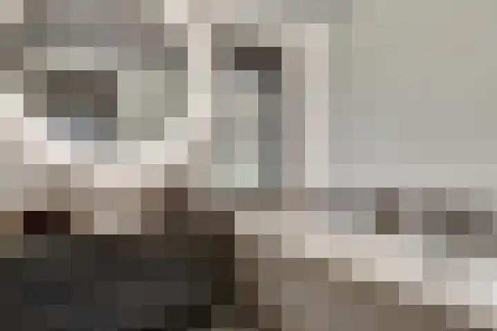 Kokkerije 6 de Wijk thumbnail 35