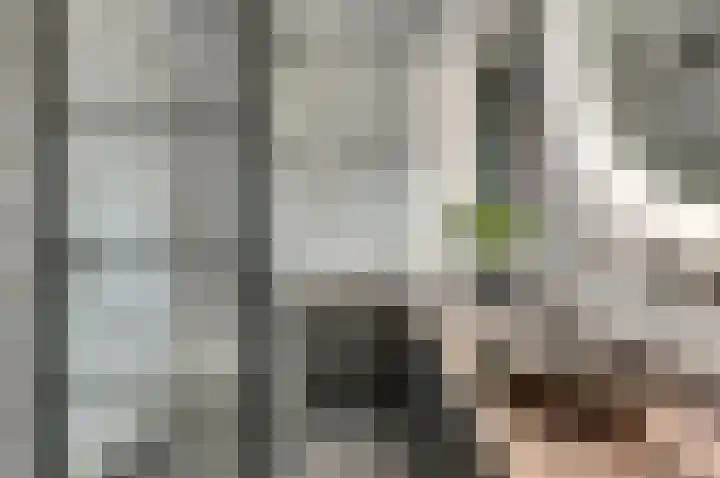 Kokkerije 6 de Wijk thumbnail 36