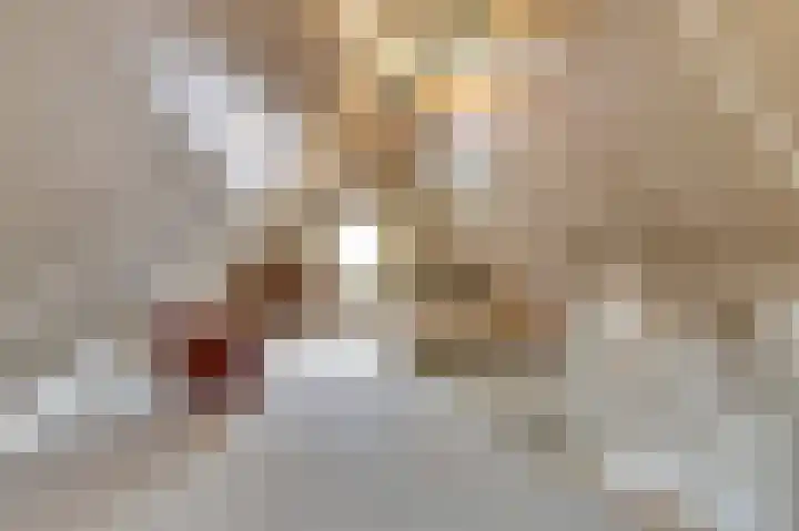 Kokkerije 6 de Wijk thumbnail 38