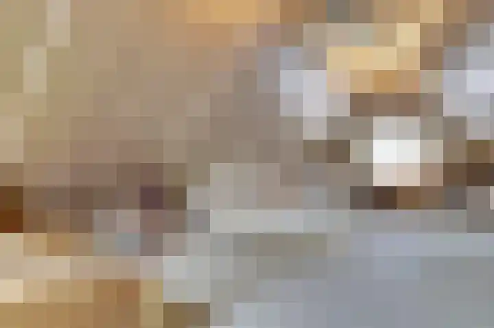 Kokkerije 6 de Wijk thumbnail 39