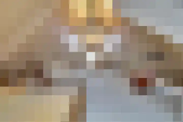 Kokkerije 6 de Wijk thumbnail 40