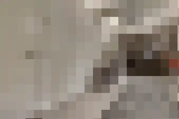 Kokkerije 6 de Wijk thumbnail 41
