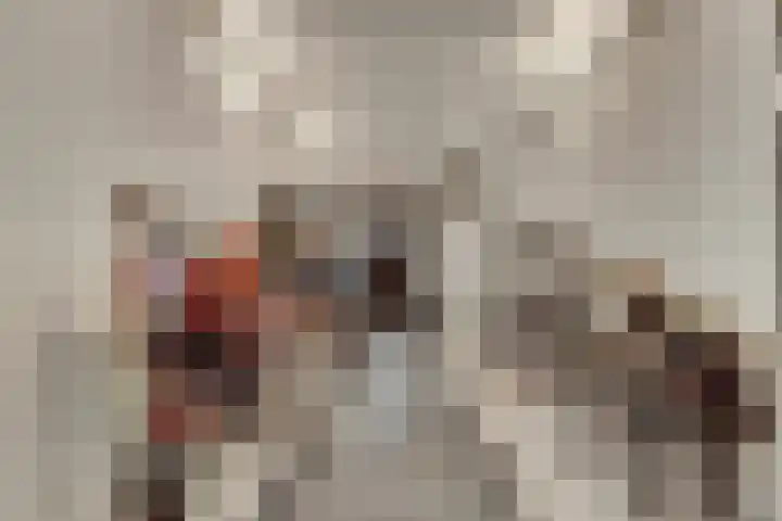 Kokkerije 6 de Wijk thumbnail 42