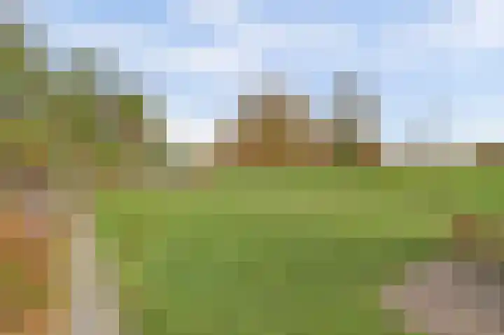 Kokkerije 6 de Wijk thumbnail 48