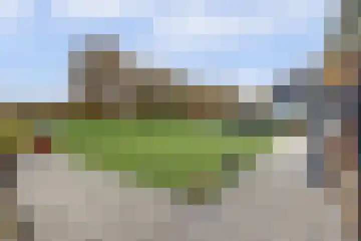 Kokkerije 6 de Wijk thumbnail 52