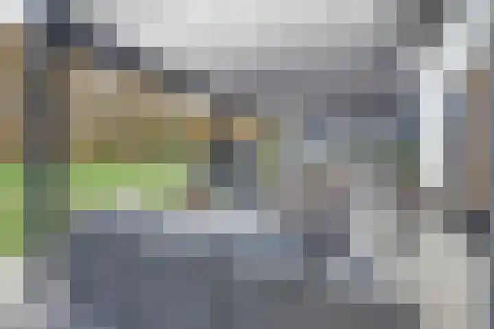 Kokkerije 6 de Wijk thumbnail 54