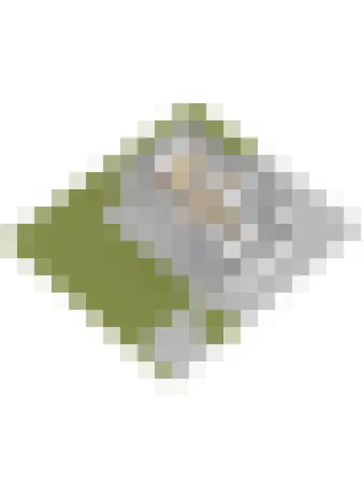 Kokkerije 6 de Wijk thumbnail 62