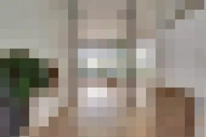 Kokkerije 6 de Wijk thumbnail 9