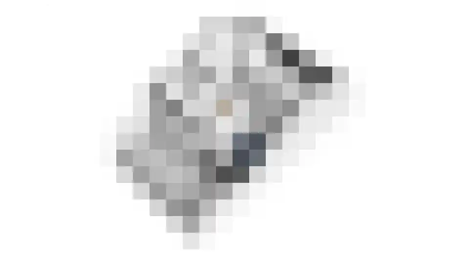 Kokkestraat 1 C Hilvarenbeek thumbnail 11