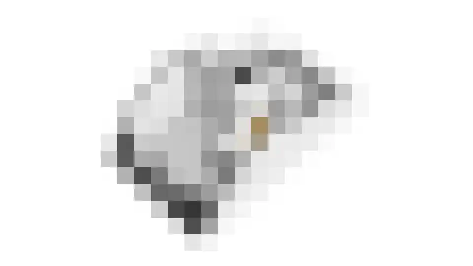 Kokkestraat 1 C Hilvarenbeek thumbnail 12