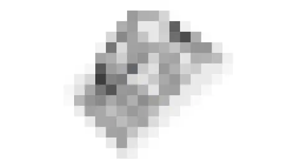 Kokkestraat 1 D Hilvarenbeek thumbnail 11