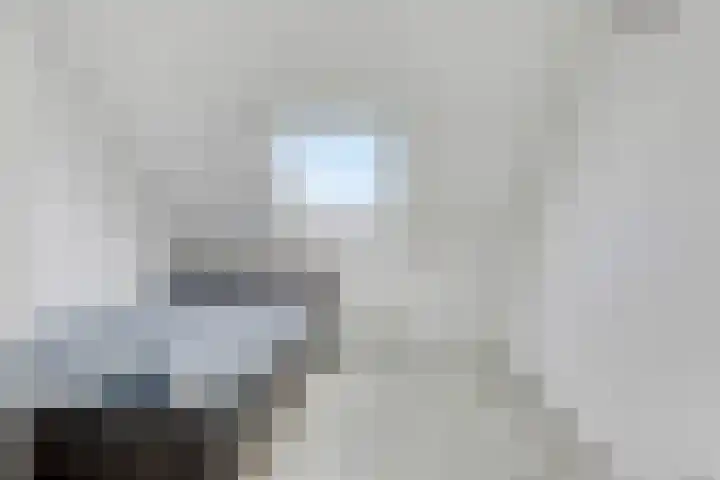 Kokmeeuw 10 Bergen op Zoom thumbnail 22