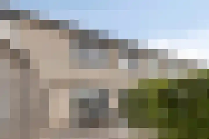 Kokmeeuw 10 Bergen op Zoom thumbnail 27
