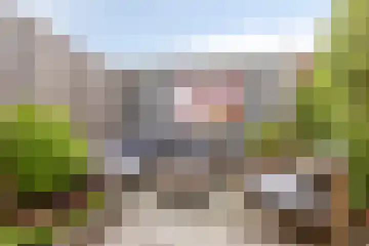 Kokmeeuw 10 Bergen op Zoom thumbnail 30