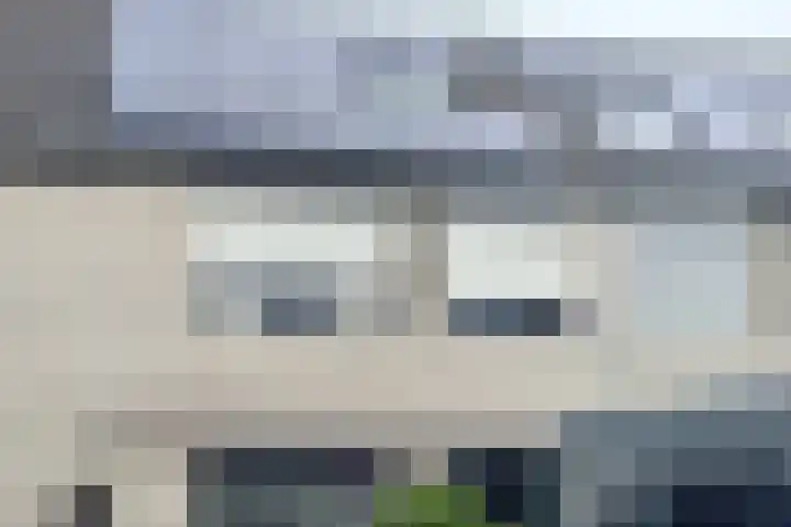 Kokmeeuw 10 Bergen op Zoom thumbnail 33