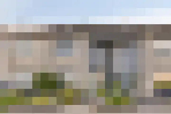 Kokmeeuw 10 Bergen op Zoom thumbnail 34