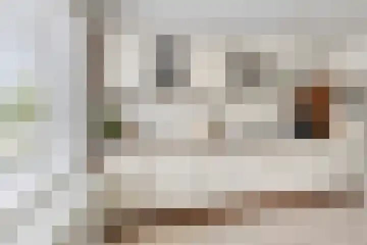 Kokmeeuw 10 Bergen op Zoom thumbnail 7