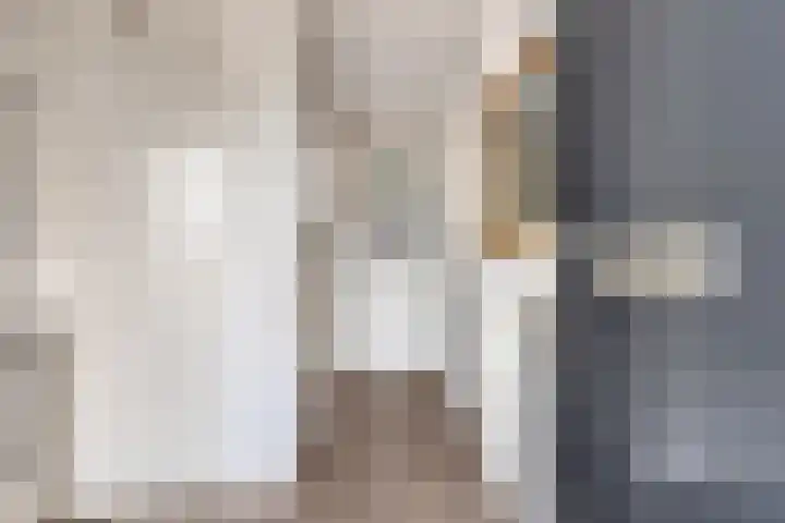 Kokmeeuw 10 Bergen op Zoom thumbnail 9