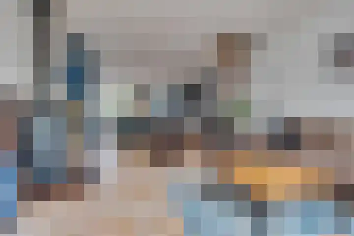 Kokmeeuw 13 Leusden thumbnail 10