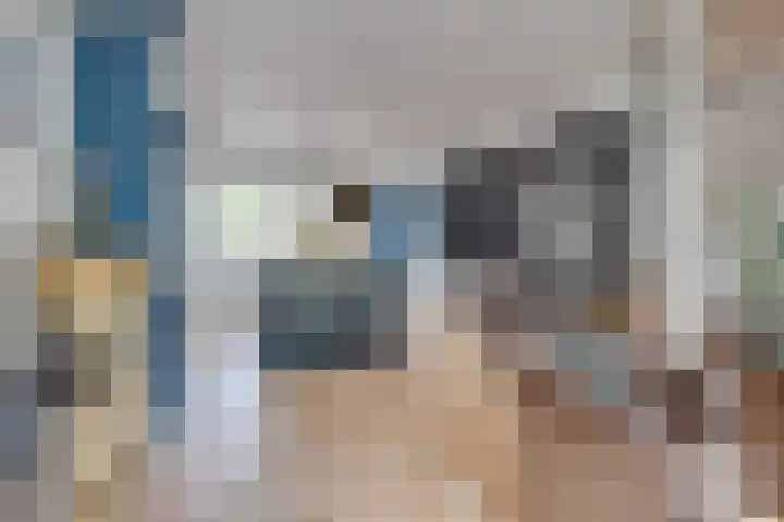 Kokmeeuw 13 Leusden thumbnail 11