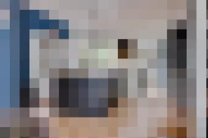 Kokmeeuw 13 Leusden thumbnail 12