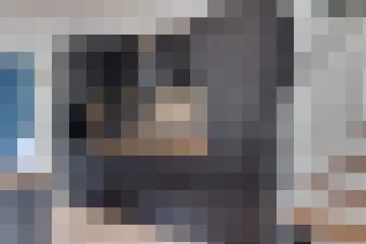 Kokmeeuw 13 Leusden thumbnail 13