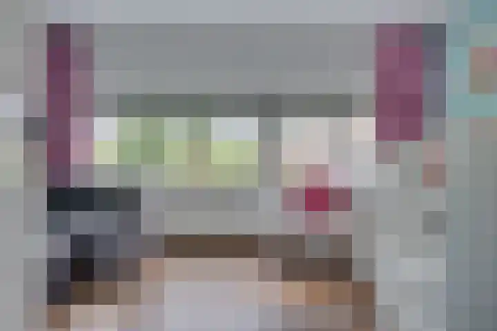 Kokmeeuw 13 Leusden thumbnail 15