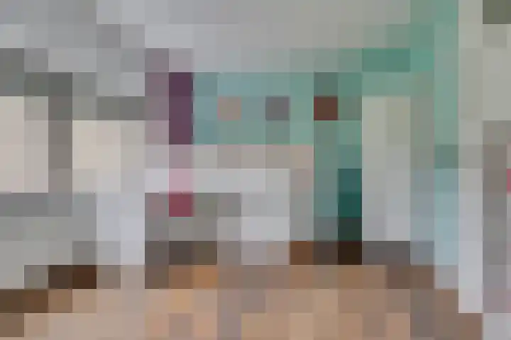 Kokmeeuw 13 Leusden thumbnail 16