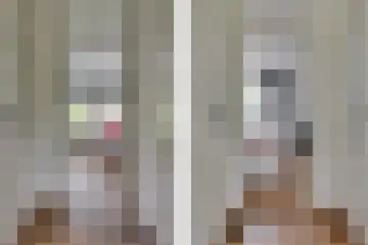 Kokmeeuw 13 Leusden thumbnail 17