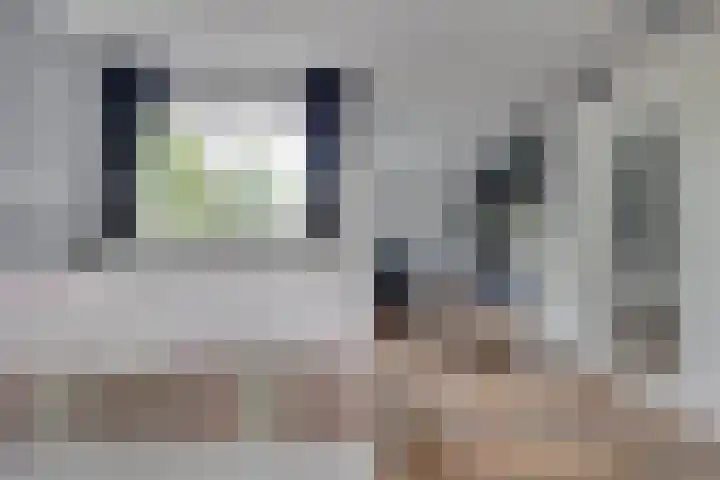 Kokmeeuw 13 Leusden thumbnail 18