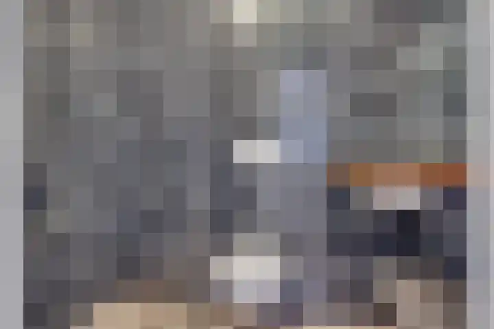 Kokmeeuw 13 Leusden thumbnail 22