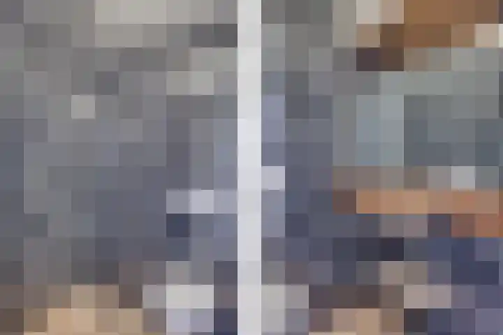 Kokmeeuw 13 Leusden thumbnail 23