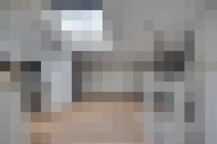 Kokmeeuw 13 Leusden thumbnail 24