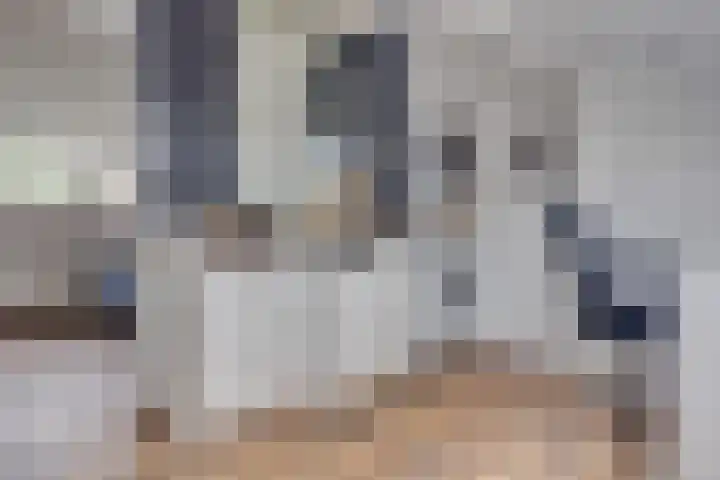 Kokmeeuw 13 Leusden thumbnail 25