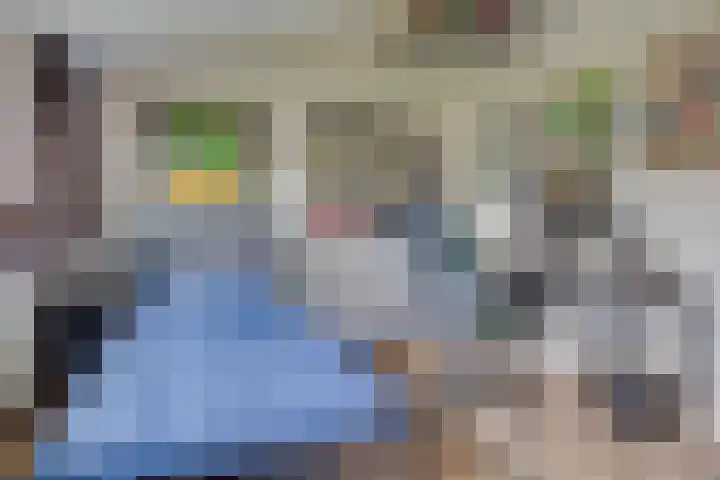 Kokmeeuw 13 Leusden thumbnail 27